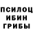 Галлюциногенные грибы GOLDEN TEACHER Mars Djebril