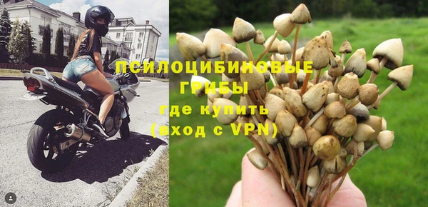прущие крисы Осинники