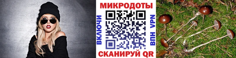hydra зеркало  Тобольск  Галлюциногенные грибы Magic Shrooms 