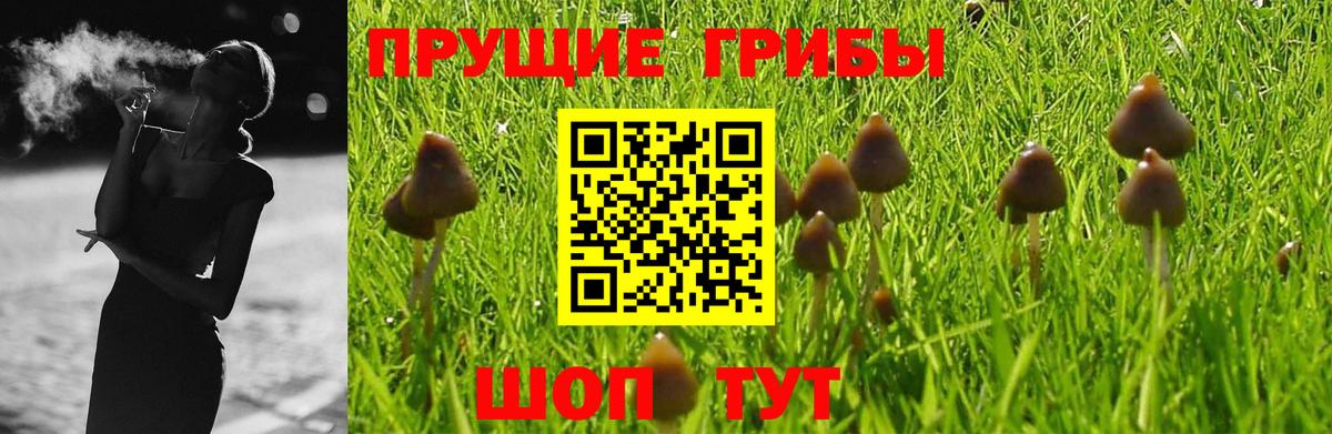 Псилоцибиновые грибы MAGIC MUSHROOMS  Вход с VPN  Псилоцибиновые грибы Cubensis  Тобольск 