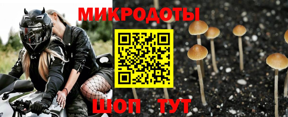 Псилоцибиновые грибы Magic Shrooms  Псилоцибиновые грибы ЛСД  сколько стоит  Тобольск 